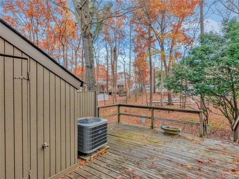 11809 S Briar Patch Dr, Midlothian, VA 23113 photo 22