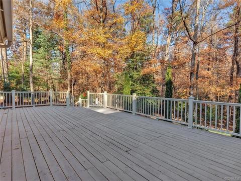 11310 Buckhead Ter, Midlothian, VA 23113 photo 38