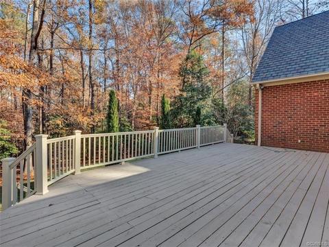 11310 Buckhead Ter, Midlothian, VA 23113 photo 39