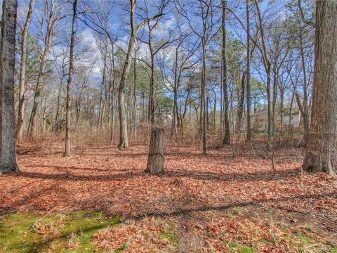 2841 Glendower Ct, Midlothian, VA 23113 photo 29