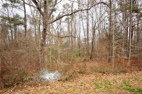 121 Robin Ln, Hanover, VA 23069 photo 22