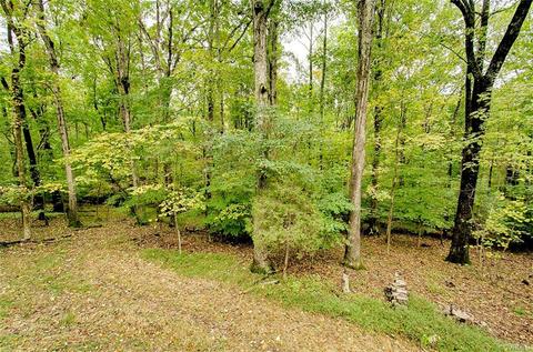 13621 Trilithon Rd, Midlothian, VA 23113 photo 34