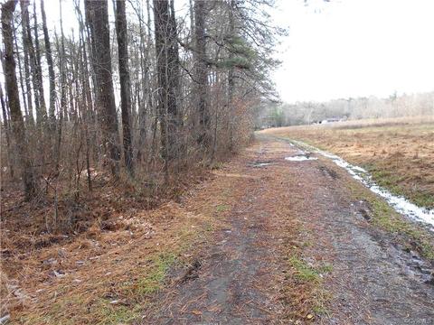 22305 Cox Rd, Sutherland, VA 23885 photo 3
