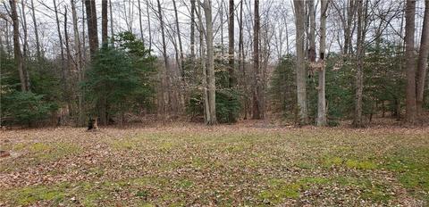 3963 Cedar Plains Rd, Sandy Hook, VA 23153 photo 10