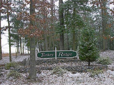19864 Turkey Ridge Rd, Carson, VA 23830 photo 5
