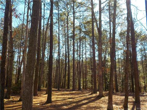 19864 Turkey Ridge Rd, Carson, VA 23830 photo 28