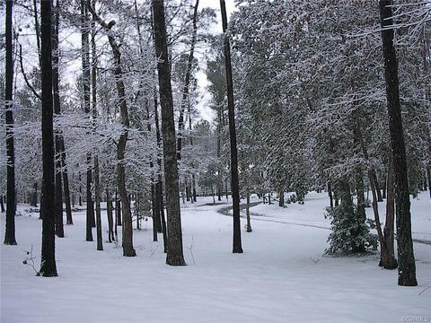 19864 Turkey Ridge Rd, Carson, VA 23830 photo 39