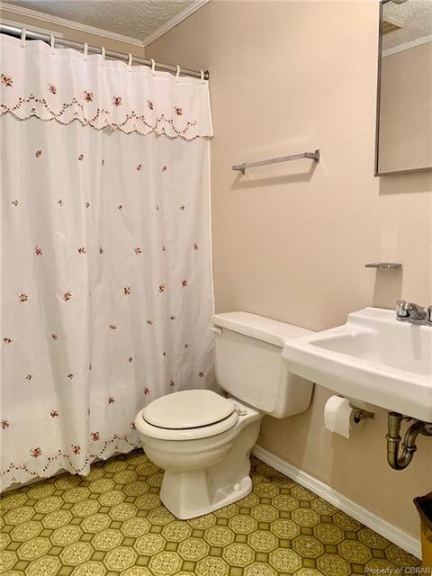133 Pine Cv, Topping, VA 23169 photo 11