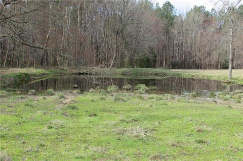12619 Lew Jones Rd, Dewitt, VA 23840 photo 17
