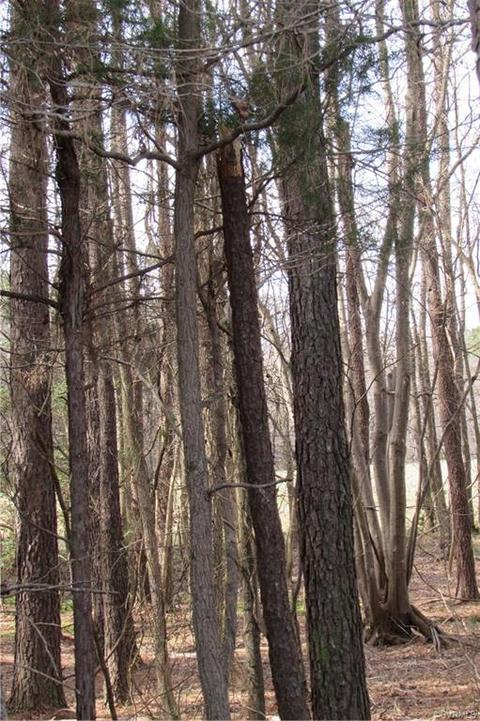 12619 Lew Jones Rd, Dewitt, VA 23840 photo 7