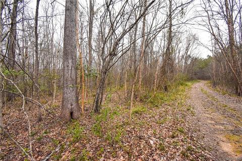 13522 Glebe Rd, Dewitt, VA 23840 photo 23
