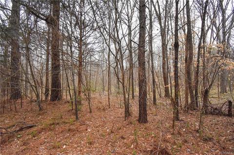13522 Glebe Rd, Dewitt, VA 23840 photo 24