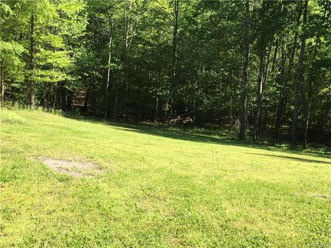1540 Globe Rd, Aylett, VA 23009 photo 6