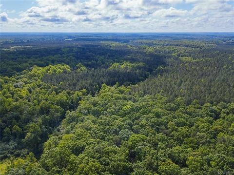 3560 Bumpass Rd, Beaverdam, VA 23015 photo 45