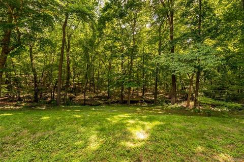 12121 Murray Hill Dr, Midlothian, VA 23113 photo 32