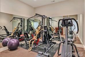 2513 Maple Hall Ct, Midlothian, VA 23113 photo 35