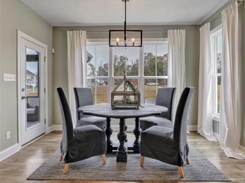 4037 Bircham Loop, Midlothian, VA 23113 photo 9