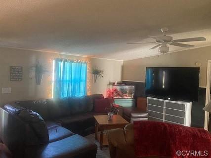 15320 Wright Rd, Amelia Court House, VA 23002 photo 3