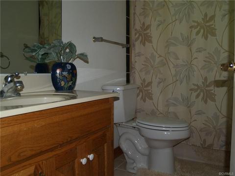 7425 Old Camp Rd, Lanexa, VA 23089 photo 28