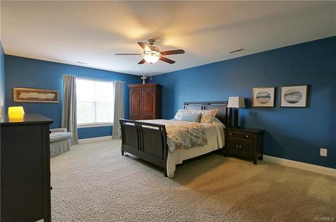 16924 White Daisy Loop, Moseley, VA 23120 photo 42