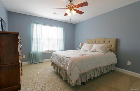 16924 White Daisy Loop, Moseley, VA 23120 photo 36