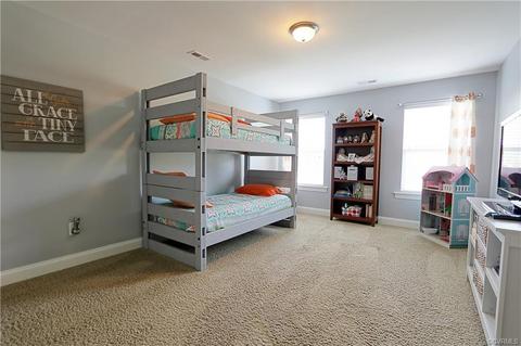16924 White Daisy Loop, Moseley, VA 23120 photo 39