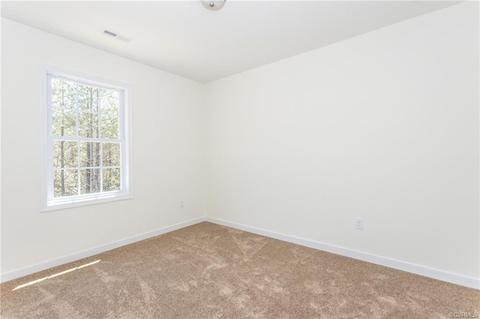 8492 Pine Acres Ln, Carson, VA 23830 photo 20