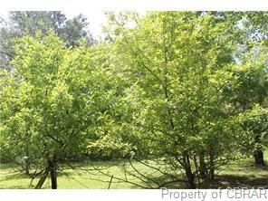 564 Aarons Beach Rd, Diggs, VA 23045 photo 12