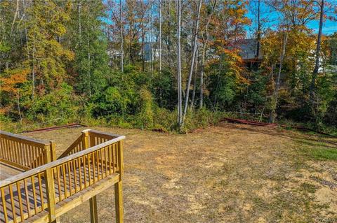 13101 Beech Hill Dr, Midlothian, VA 23112 photo 43