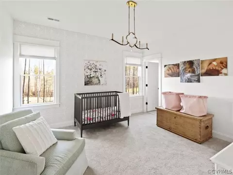 18106 Ruby Hill Ct, Moseley, VA 23120 photo 31