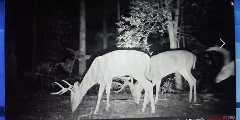 465 Edgar Rd, Hanover, VA 23069 photo 8