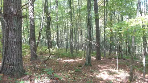 4220 Falling View Ln, Mechanicsville, VA 23111 photo 2