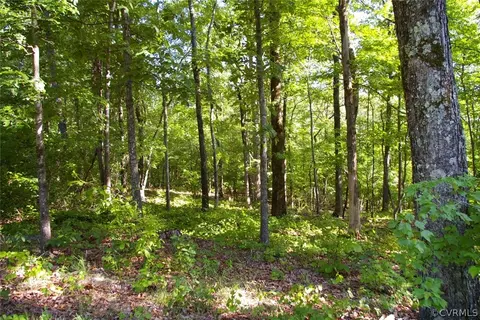 4220 Falling View Ln, Mechanicsville, VA 23111 photo 1