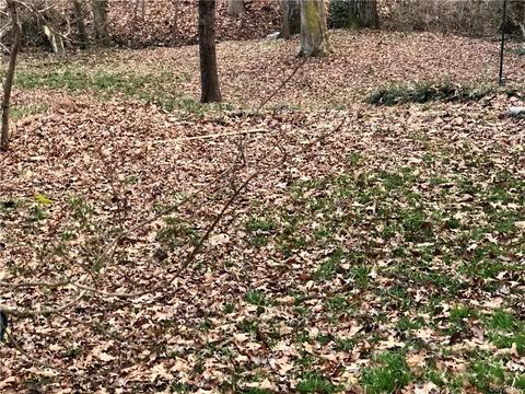 10113 Silverleaf Ter, Richmond, VA 23236 photo 9