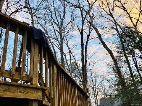 10113 Silverleaf Ter, Richmond, VA 23236 photo 7
