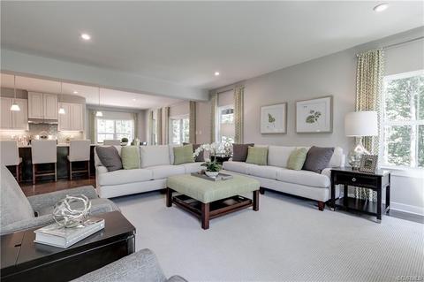 18160 Sagamore Dr, Moseley, VA 23120 photo 9