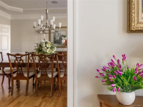 14243 Amajess Ln, Midlothian, VA 23113 photo 9