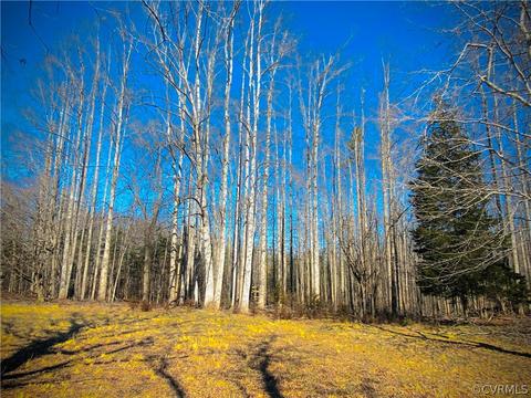 6891 Cabbage Patch Rd, Keysville, VA 23947 photo 2
