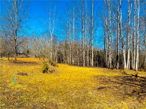 6891 Cabbage Patch Rd, Keysville, VA 23947 photo 4