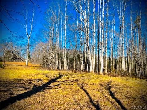 6891 Cabbage Patch Rd, Keysville, VA 23947 photo 3
