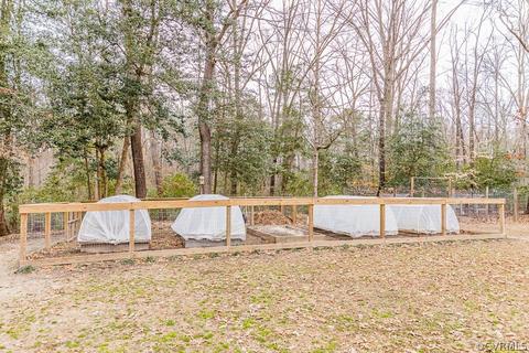 9120 Stumpy Rd, Ashland, VA 23005 photo 45