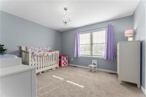 8403 Pine Acres Ln, Carson, VA 23830 photo 17