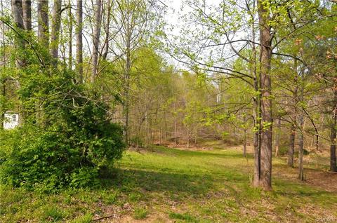 418 Michaux View Ter, Midlothian, VA 23113 photo 38