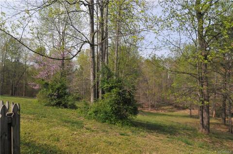 418 Michaux View Ter, Midlothian, VA 23113 photo 39
