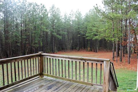 2003 Walnut Tree Ct, Powhatan, VA 23139 photo 33