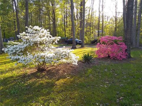 16909 Namozine Rd, Sutherland, VA 23885 photo 9