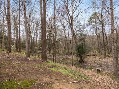 2518 Beaver Falls Rd, Midlothian, VA 23112 photo 25