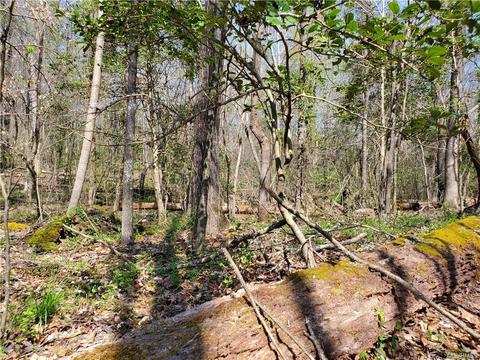 4004 Jack Flash Ln, Sutherland, VA 23885 photo 8