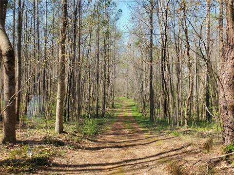 4004 Jack Flash Ln, Sutherland, VA 23885 photo 6