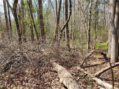 4004 Jack Flash Ln, Sutherland, VA 23885 photo 7